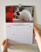 0fcde749-0b31-4dac-a2d4-89e8fc72f2d1