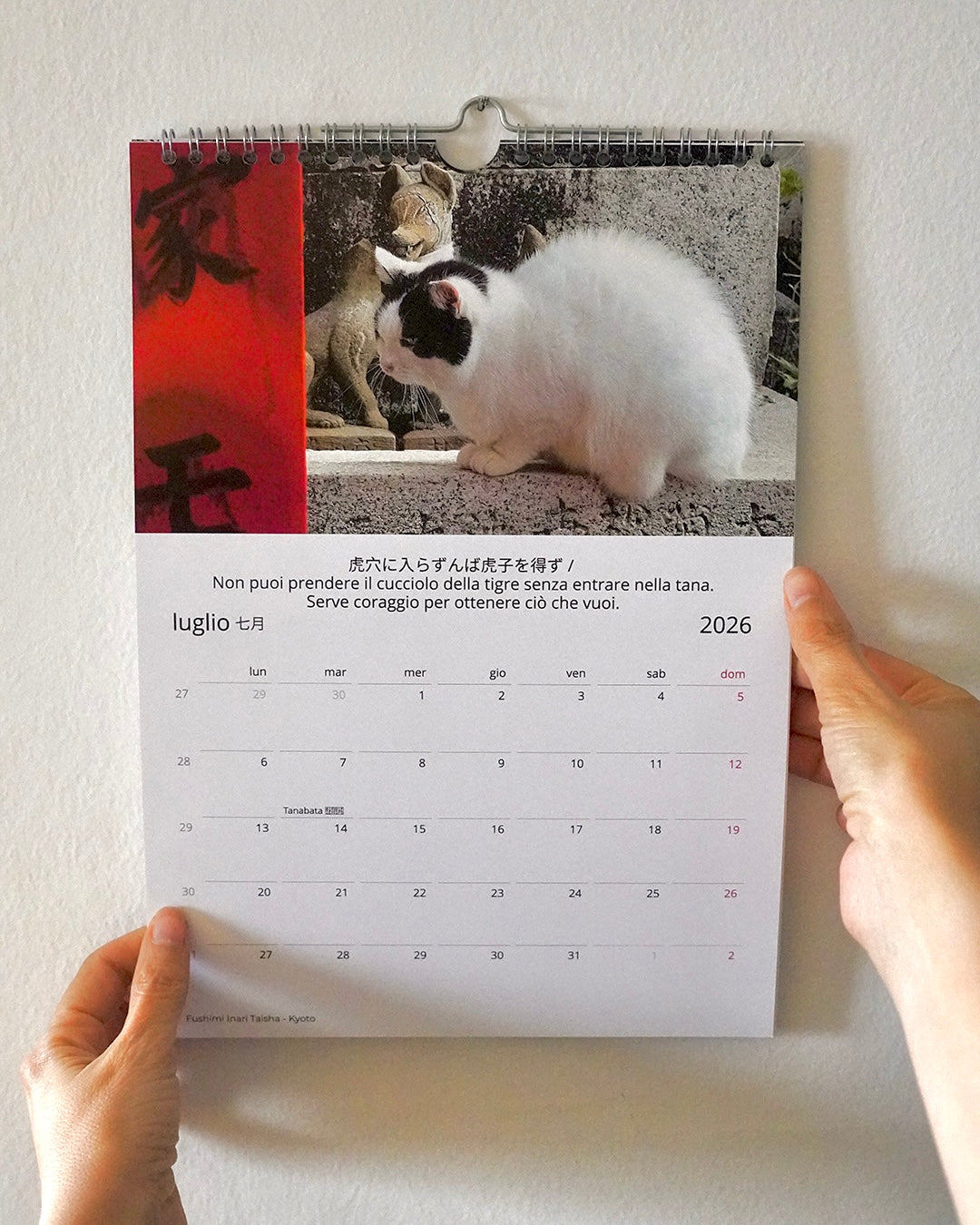 0fcde749-0b31-4dac-a2d4-89e8fc72f2d1