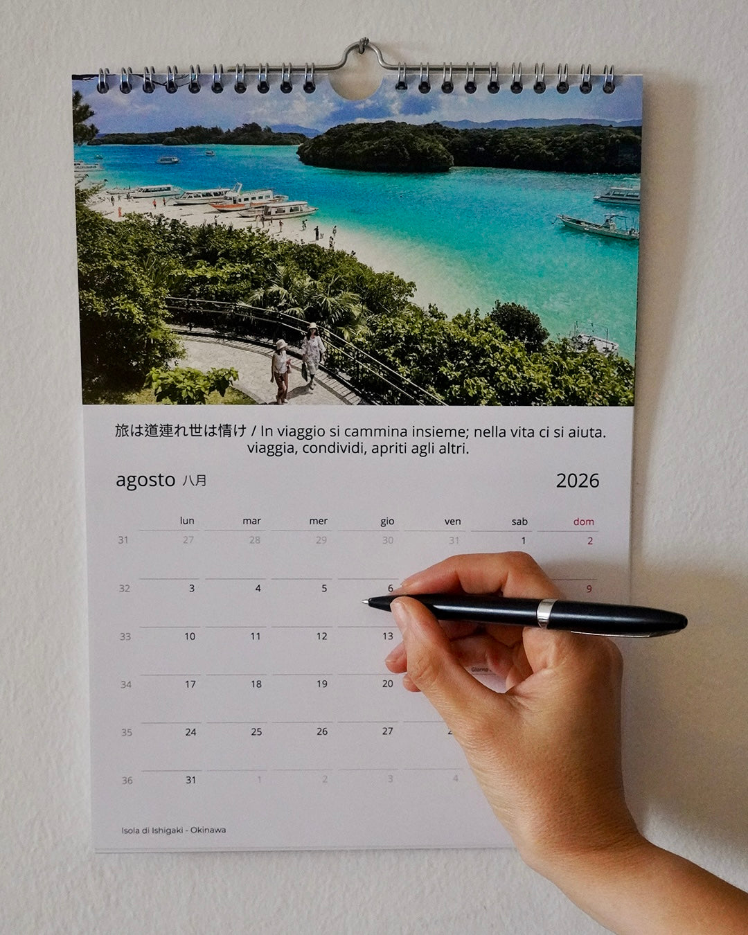 4b322bc2-f4e6-4cf6-a4ca-c56e41bdf83a