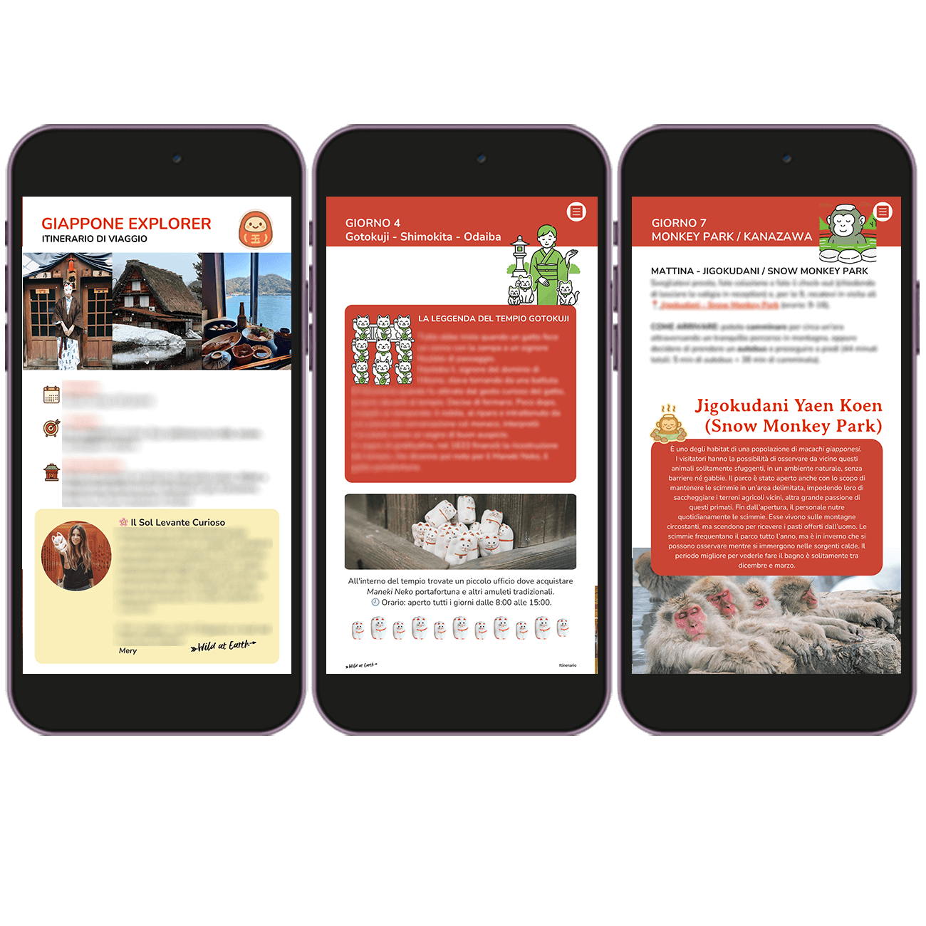 Collezione Sumo - Classic, Explorer, Adventure + guide