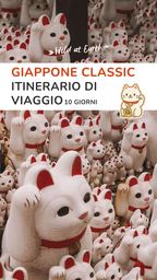 GIAPPONE CLASSIC