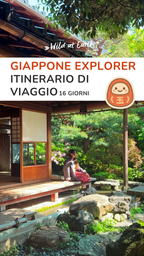 GIAPPONE EXPLORER